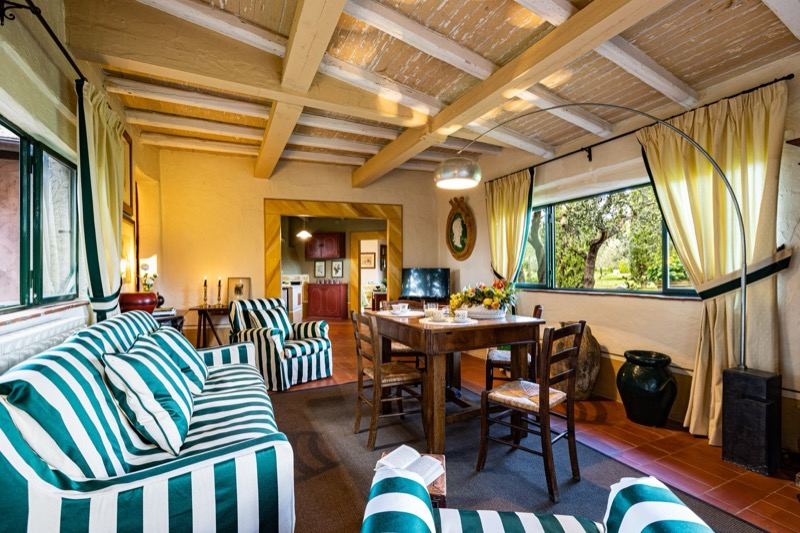 The living room with the dining table and sofas