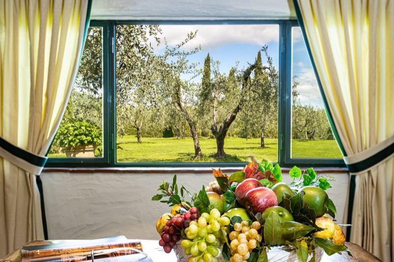 The olive grove from the window with the fruit bowl