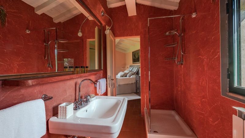 The red bathroom with shower and basin