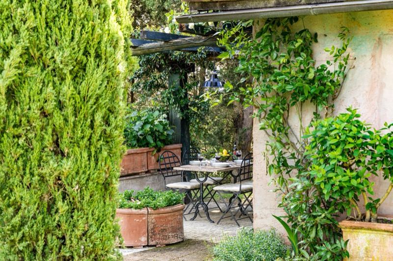 The garden corner with the cypress and the pergola