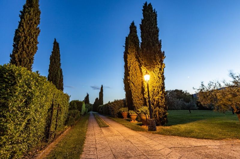 The path with the lit lamp post and cypresses at sunset