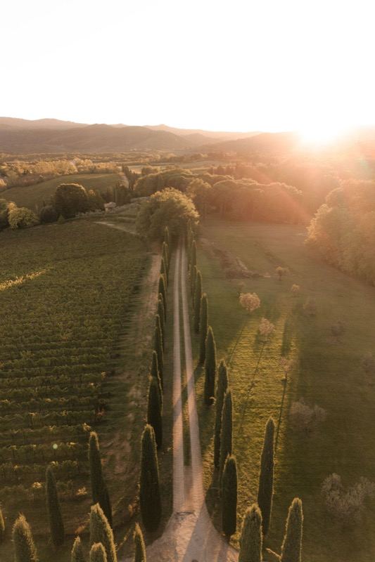 The cypress avenue and the rows seen from above