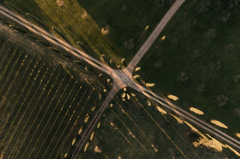 A bird's-eye view of olive rows and gravel roads