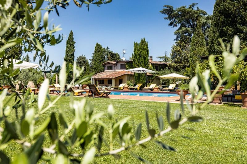 The pool and the villa through the olive branches