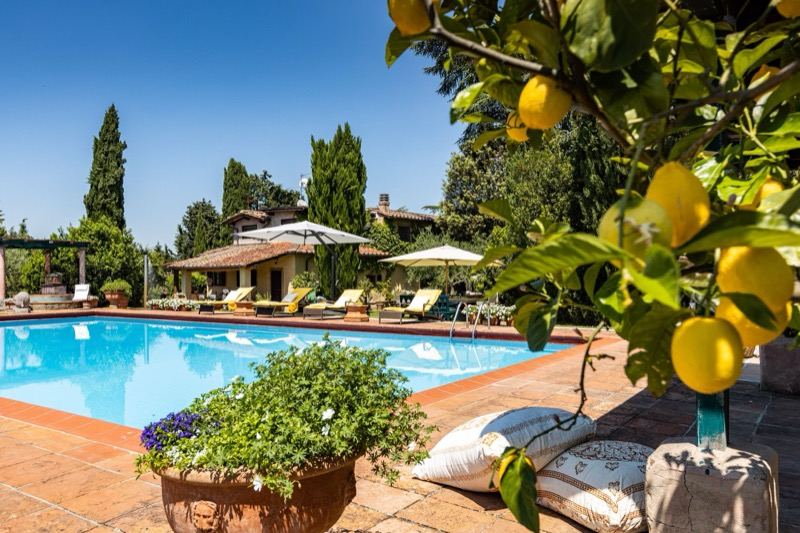 The pool seen past the lemon tree, cushions at the edge