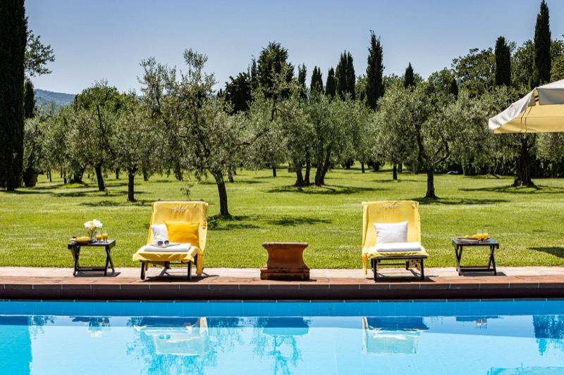 Loungers on the lawn among the olive trees