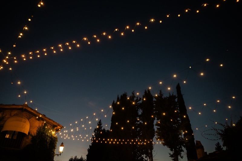 The string lights above the cypresses at nightfall