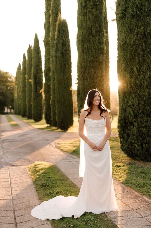 The bride in the cypress avenue in the sunset light