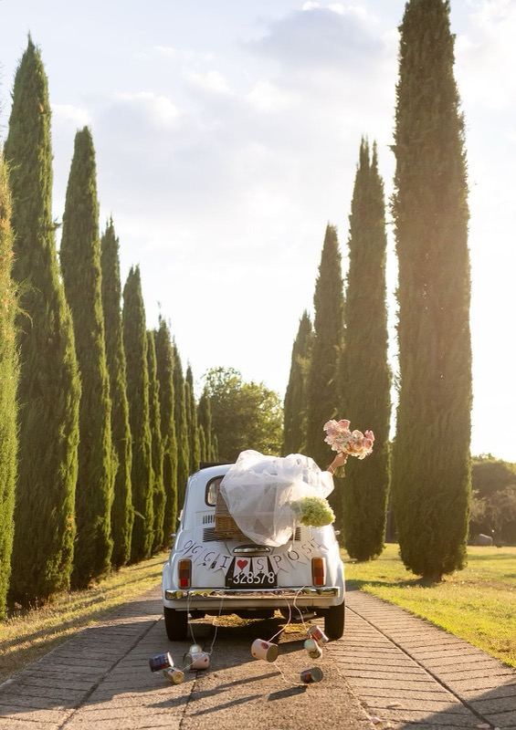 The couple's Fiat 500 down the cypress avenue